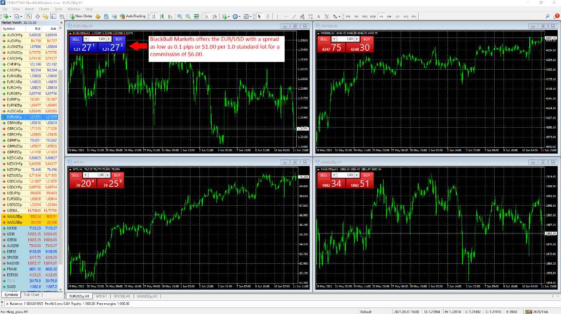 Blackbull Markets Review - Updated [year]: Pros & Cons Revealed